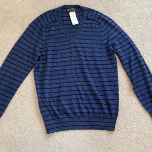 Banana Republic Merino Yarn Men's V-Neck Sweater